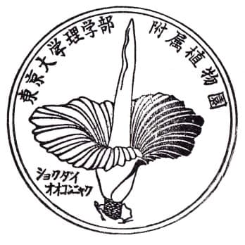 Koishikawa Botanical Garden Stamp