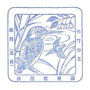 National Museum of Nature and Science Stamp