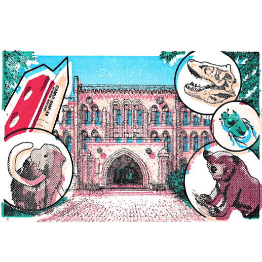 The Hokkaido University Museum Overlay Stamp